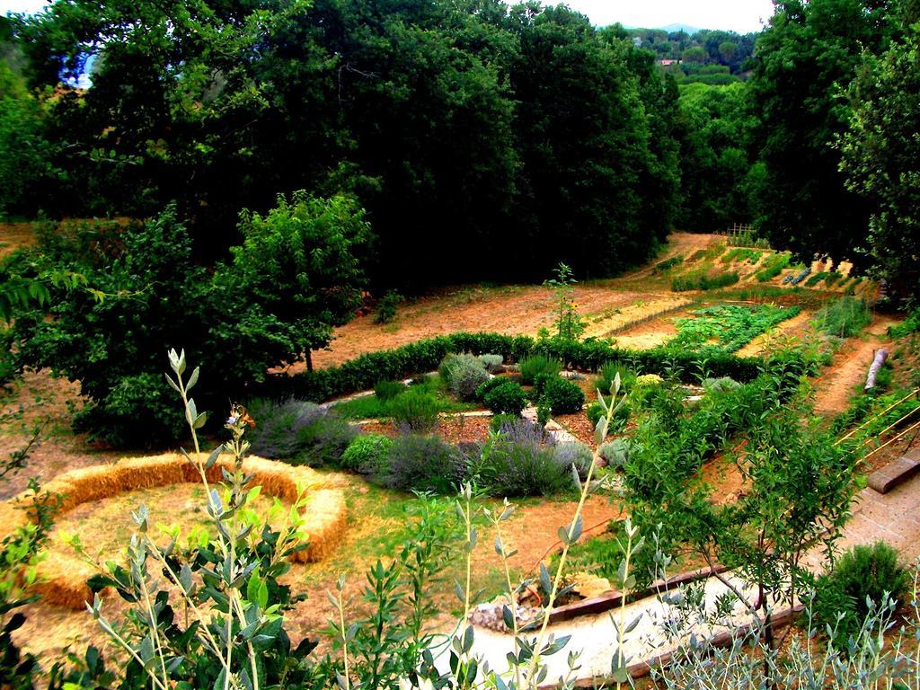 Podere Santa Rita Montescudaio