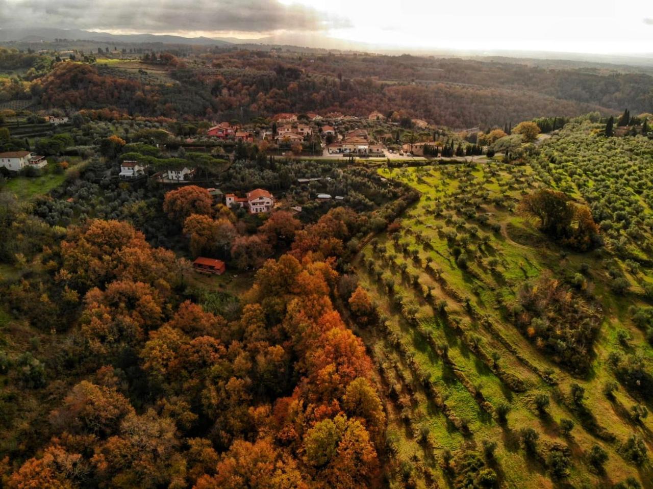 Podere Santa Rita * Montescudaio