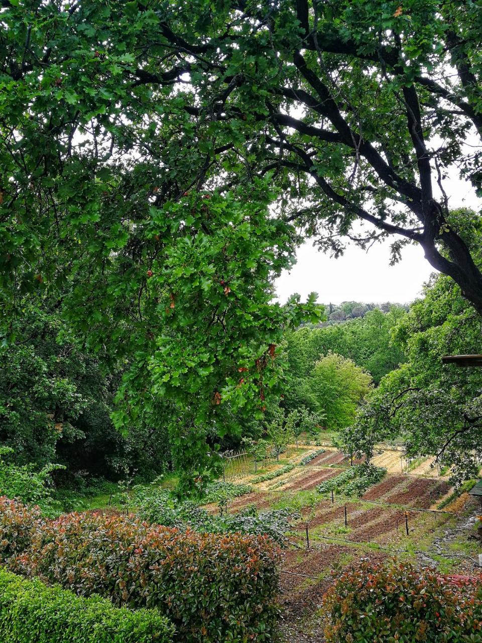 Podere Santa Rita Montescudaio
